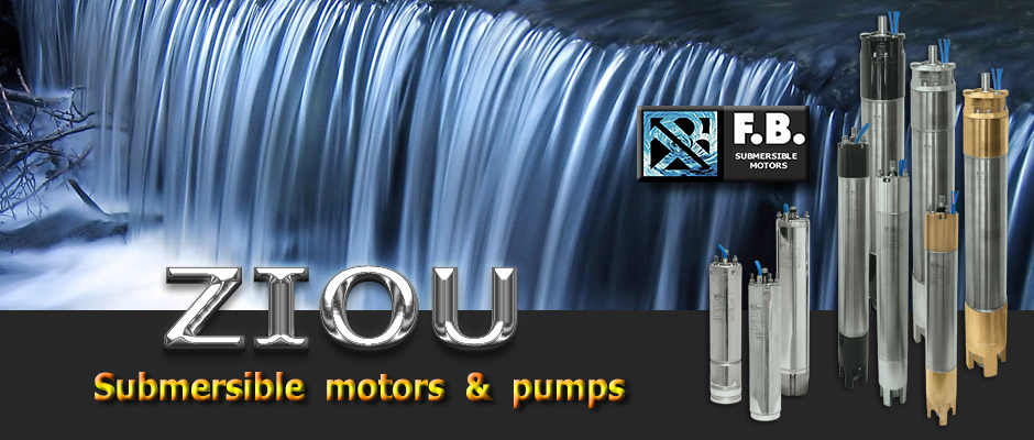 5. ZIOU  - submersible motors & pumps